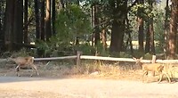 VID-20220901-WA0016