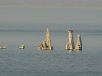 DSC02200