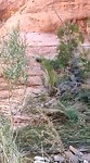 VID-20220906-WA0028