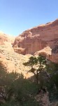VID-20220906-WA0029