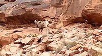 VID-20220910-WA0031