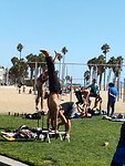 IMG-20220918-WA0016