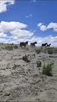 Valley of Dreams