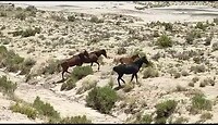 Valley of Dreams