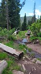 Fourmile Falls Trail
