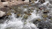 Chief Ouray Mine trail
