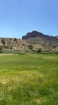 The Palisade