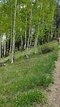 Silver Lake trail
