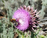 IMG-20230630-WA0031
