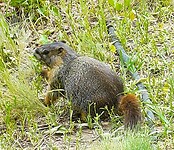 IMG-20230630-WA0037