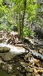 Hanging Lake trail