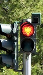 1000027525