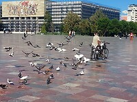 20241001_110538