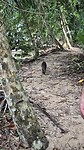 Parc National Cahuita