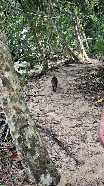 Parc National Cahuita
