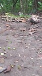 20241228_101241