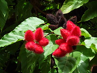DSC03252