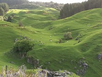 IMG_20171022_175738