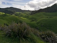 IMG_20171022_175226