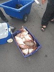 IMG_20171028_155039