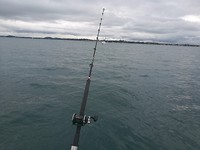 IMG_20171028_142503