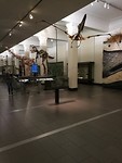 IMG_20171104_141338