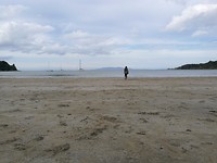IMG_20171105_174430