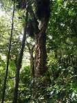 IMG_20171105_160523
