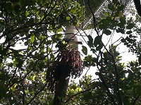IMG_20171105_160406