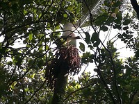 IMG_20171105_160402