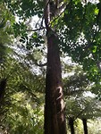 IMG_20171105_160220