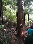 IMG_20171105_160215