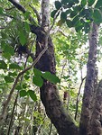IMG_20171105_155255