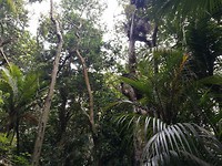 IMG_20171105_154831
