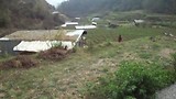 uitzicht op de farm