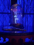IMG_1954