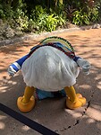 IMG_1992