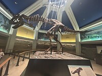 IMG_2104