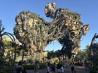 IMG_2095