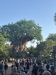 IMG_2094