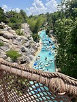 IMG_2234