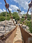 IMG_2232