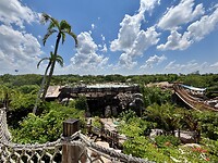 IMG_2236