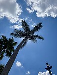 IMG_2237