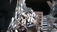 7 dwarfs