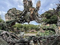 IMG_2560