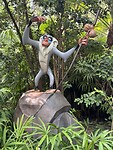 IMG_2558