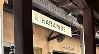 IMG_2556