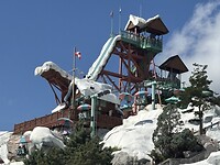IMG_2600