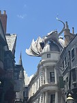 IMG_2778